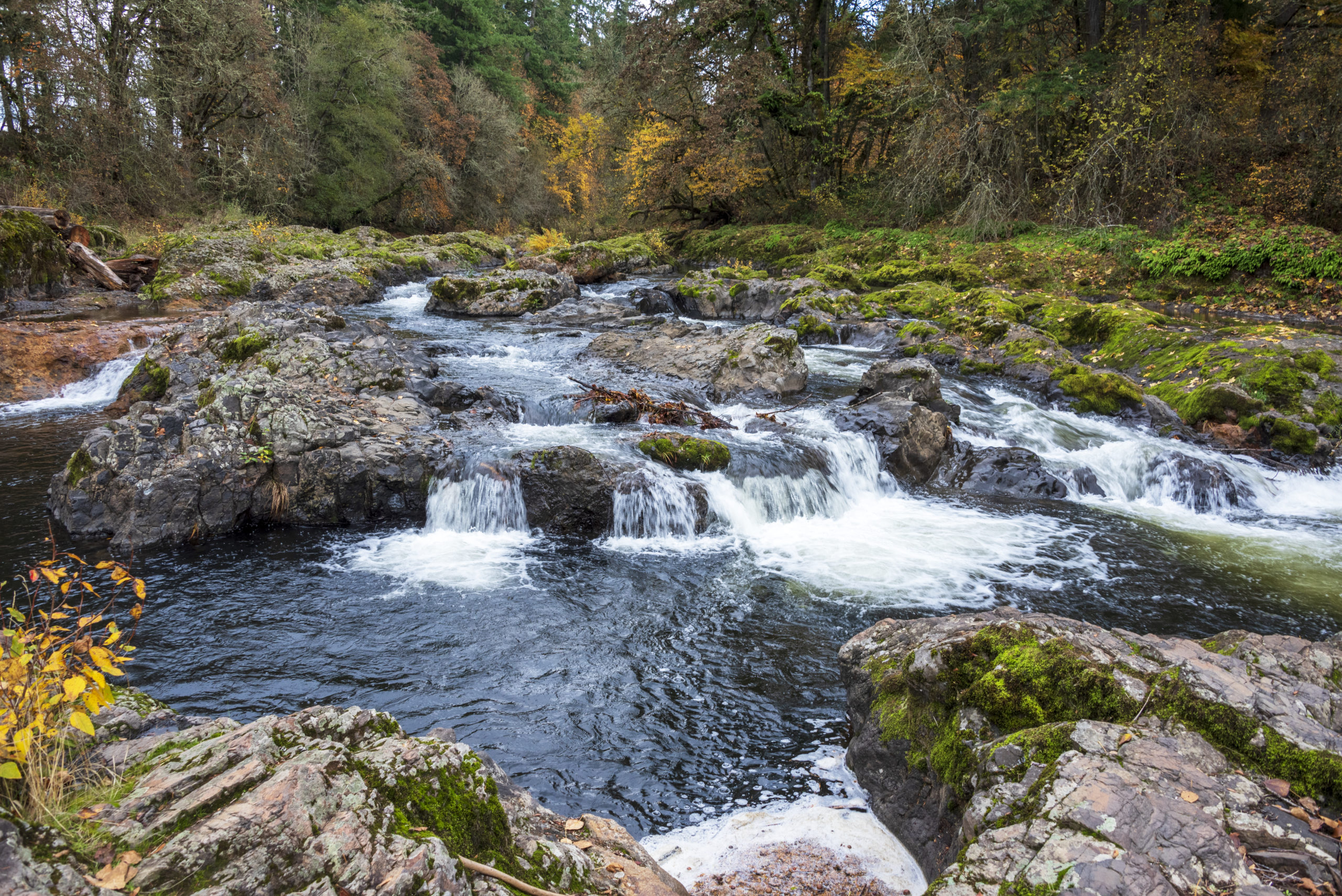 Calapooia River flows through McKercher Park in Brownsville, Oregon