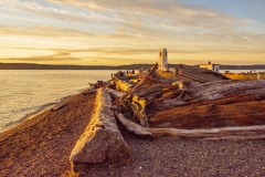 driftwood-at-browns-point-lighthouse