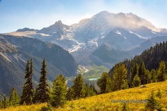 mount-rainier-with-meadow-1