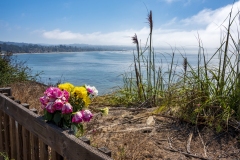 soquel-cove-view-capitola-california