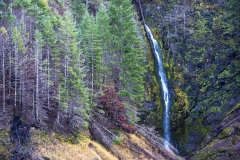 terwilliger-falls-oregon