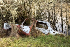 abandoned-car-in-marys-river-natural-area