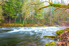 mckenzie-river-hdr