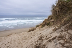 steep-dune-face-and-ocean