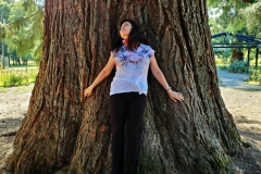 suzanne-and-redwood-tree